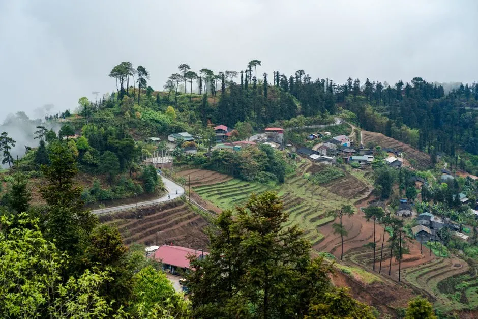 Rừng thông Yên Minh với cung đường quanh co ở Hà Giang