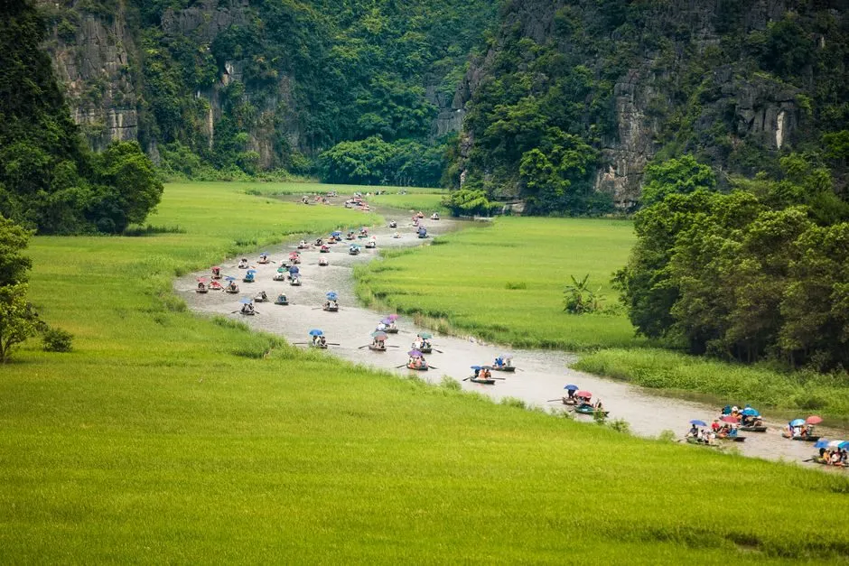 Hình ảnh khu du lịch Ninh Bình mùa lúa chín ở Tam Cốc